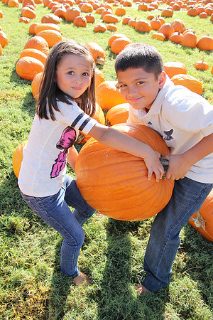 PhotosbyNathanW.com - Heather Williams Family