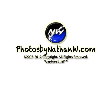 LargefilePhotosbyNathanW_Watermark