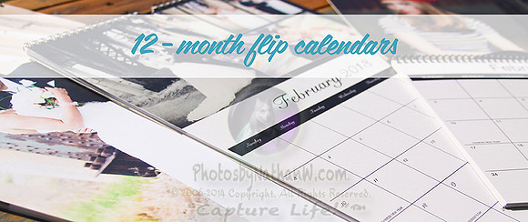 985x414_NPLwebsite_ProductHeader_12monthflipcalendar